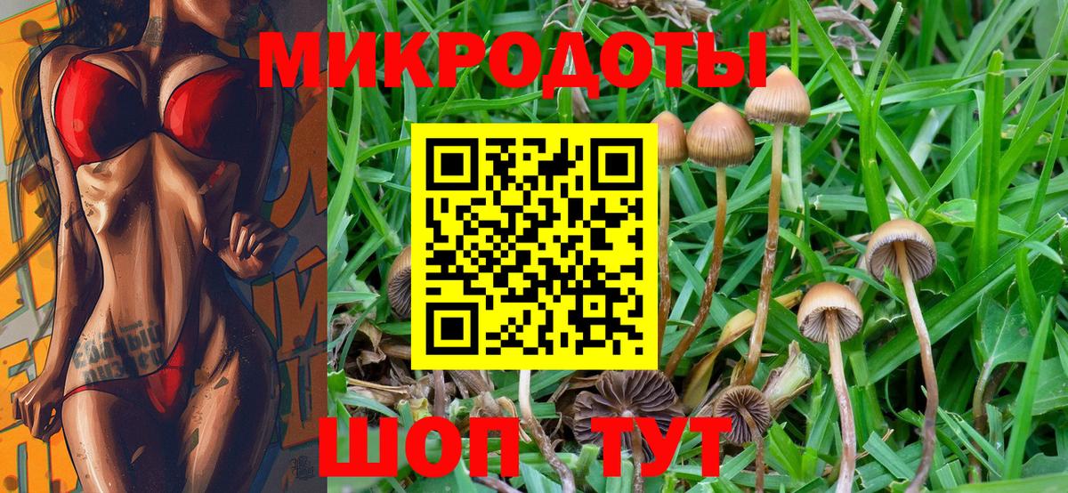 Назрань  Псилоцибиновые грибы мухоморы  Галлюциногенные грибы мицелий  Вход с VPN 
